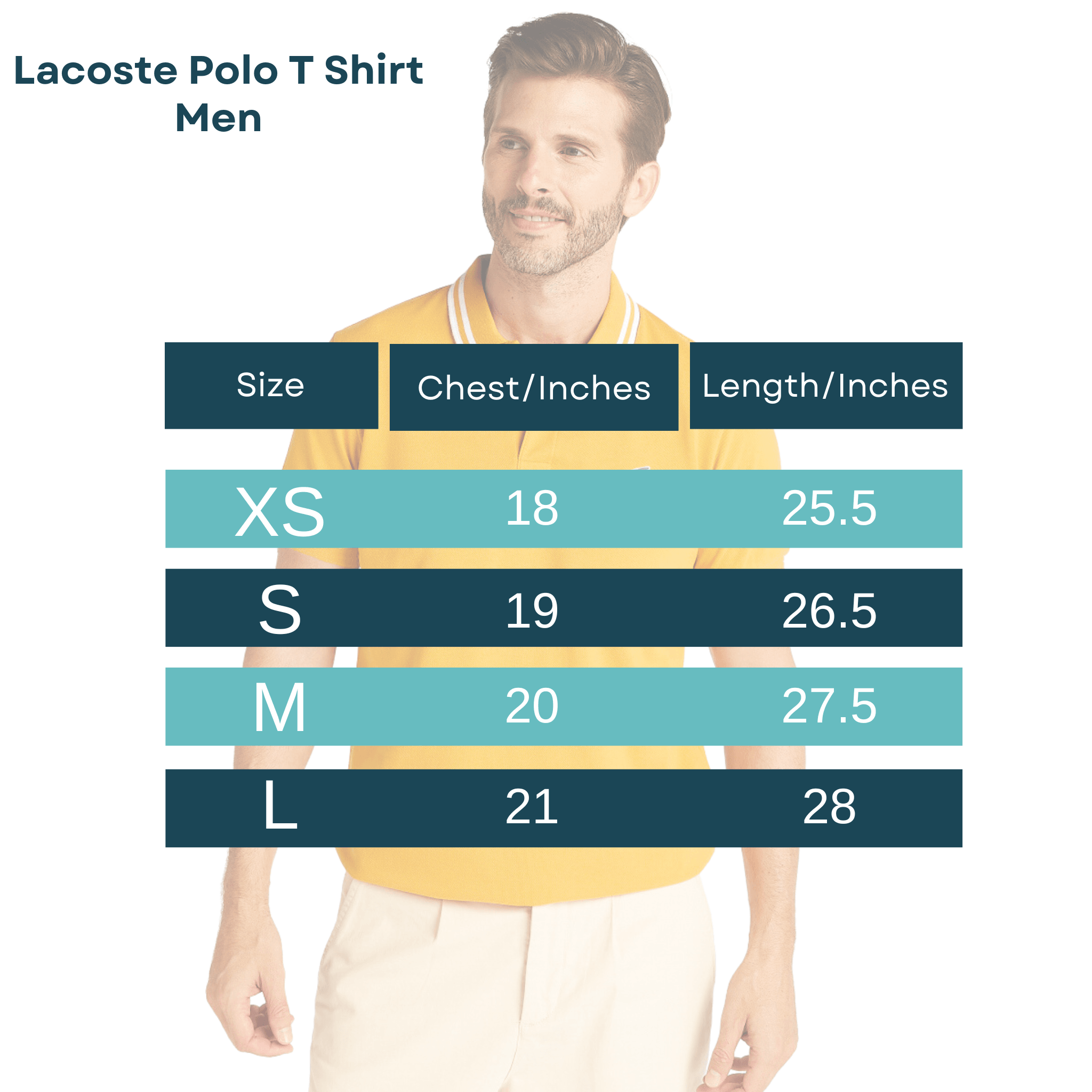 Regular Fit Lacoste Xl Size Guide LACOSTE Classic Fit Badge Polo