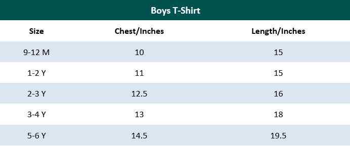 Light Grey Printed T-Shirt for Boys - IndusRobe