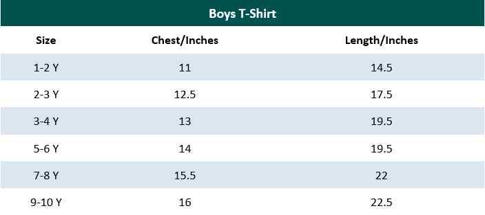 Grey Printed T-Shirt for Boys - IndusRobe